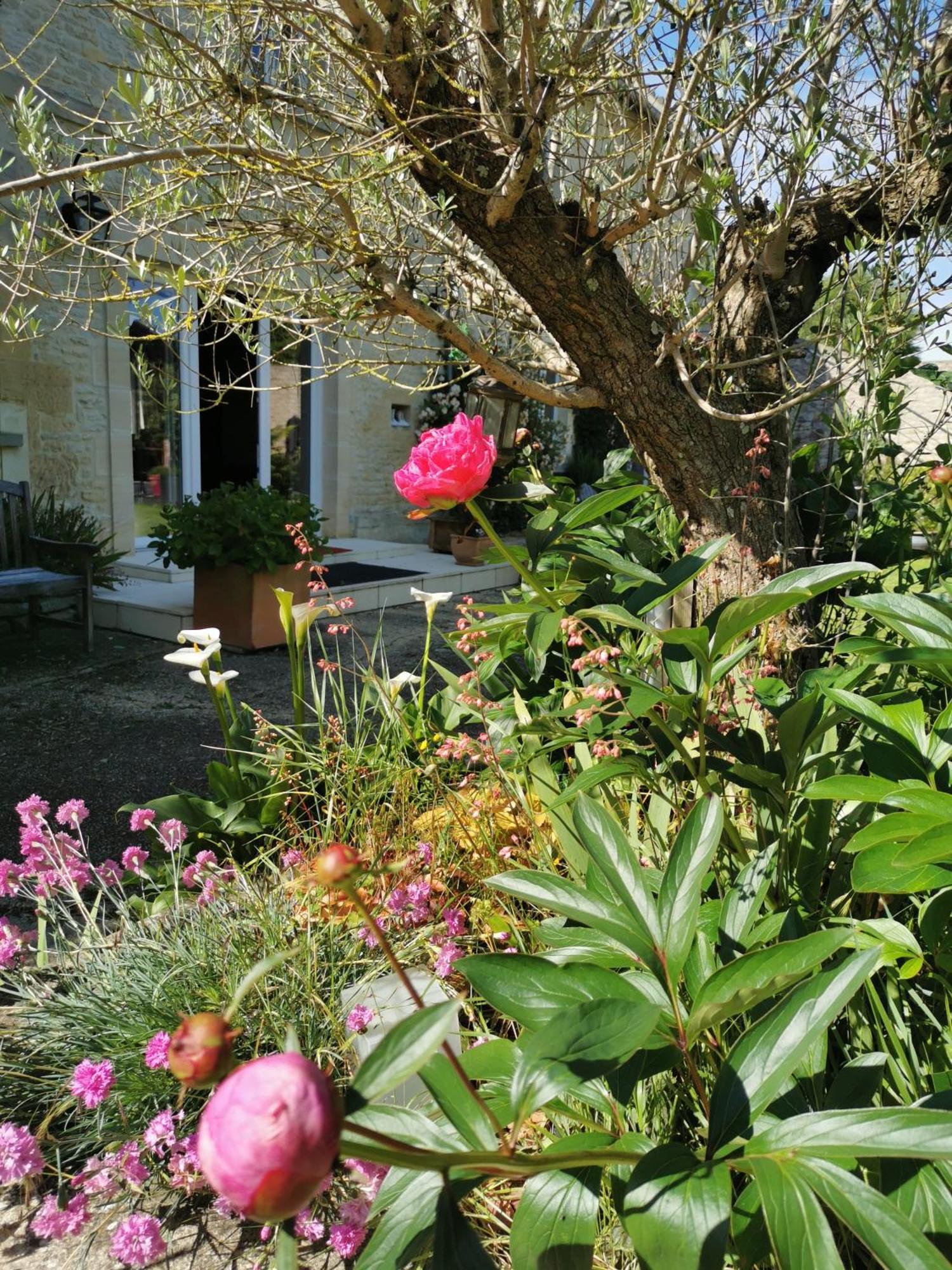 Chambre De L'Iris Sainte-Croix-sur-Mer Luaran gambar
